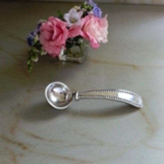 BB Pearl Ladle