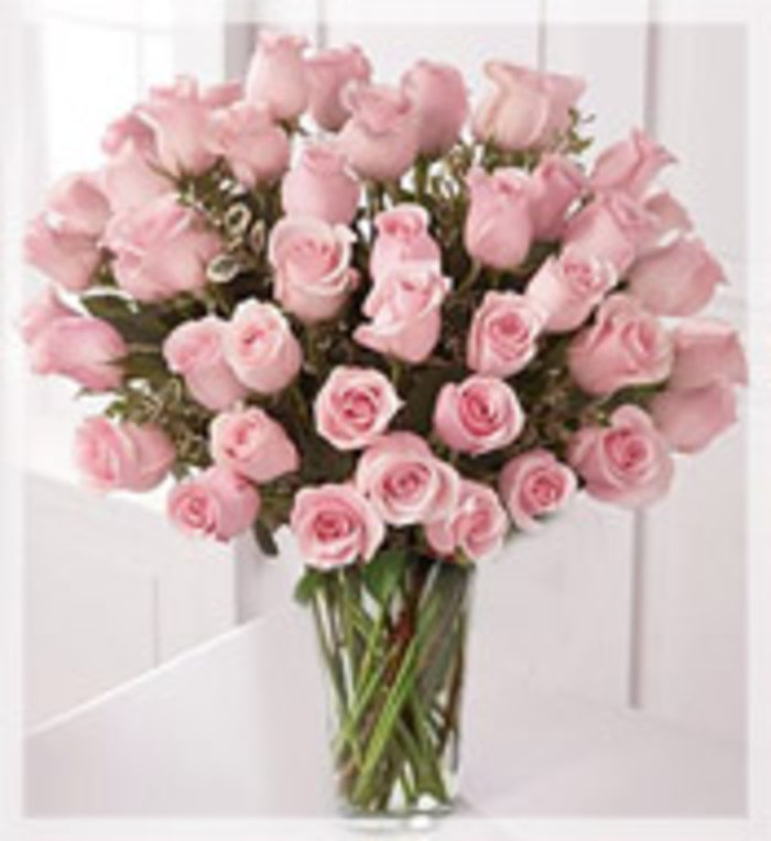 48 beautiful Long pink roses