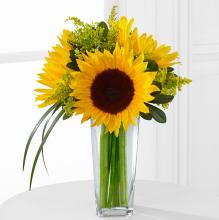 The Sunshine Daydream Sunflower Bouquet