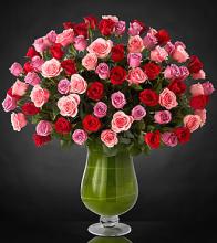 Heartfelt Luxury Rose Bouquet - 24-inch Premium Long-Stemmed Ros