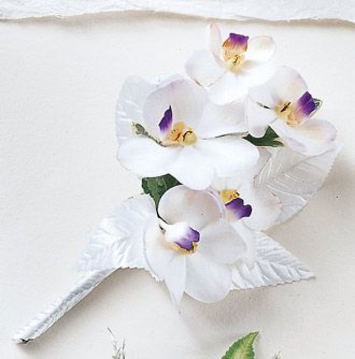 White Phaleonopsis orchid w/lavender