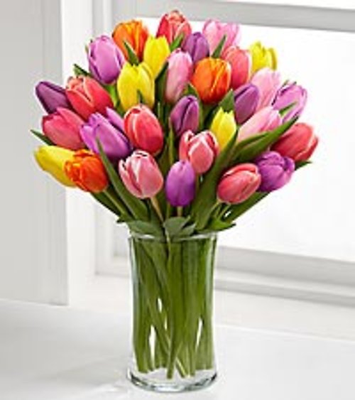 Tulips in a cylinder Vase