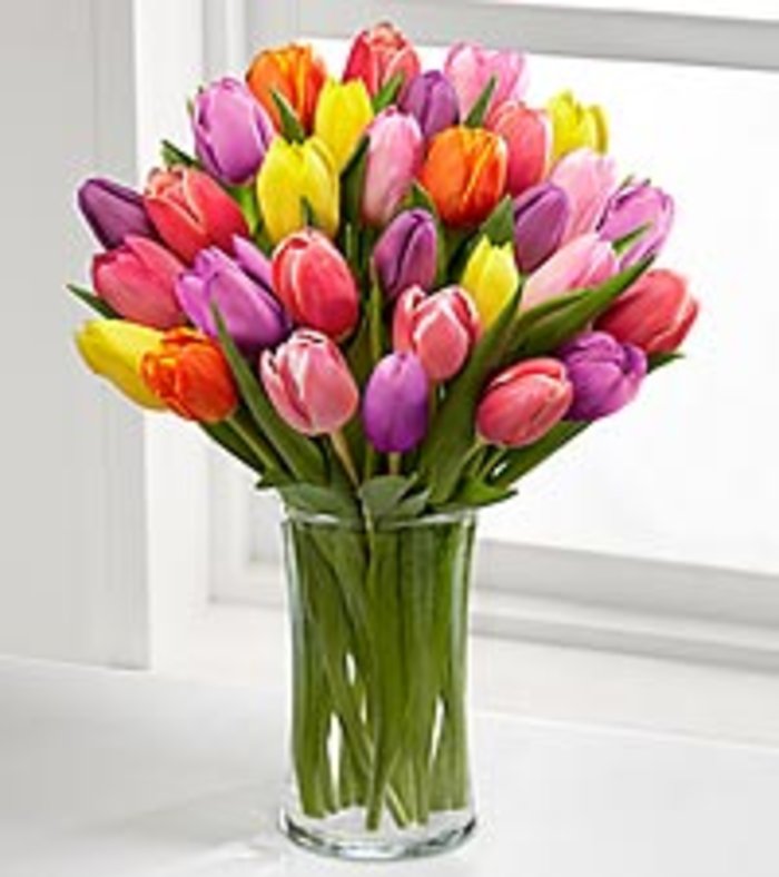 Tulips in a cylinder Vase
