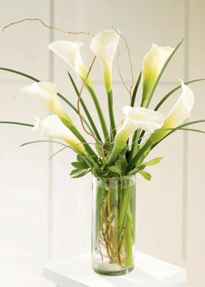 Simple Sophistication Arrangement