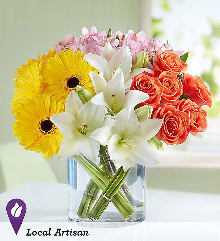 Modern Spring Mixed
