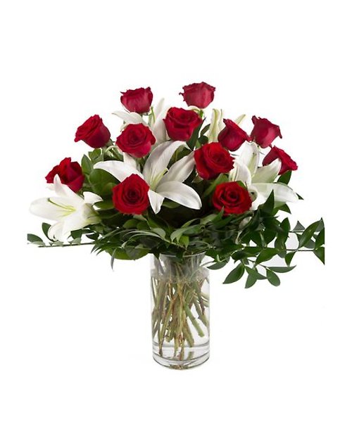 A Perfect Super Dozen Roses