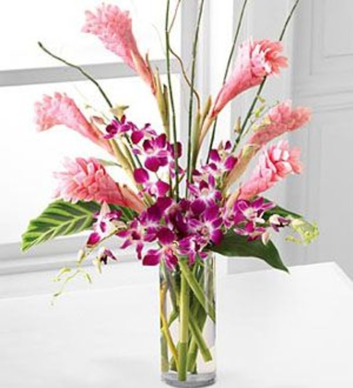 Tropicala Arrangement