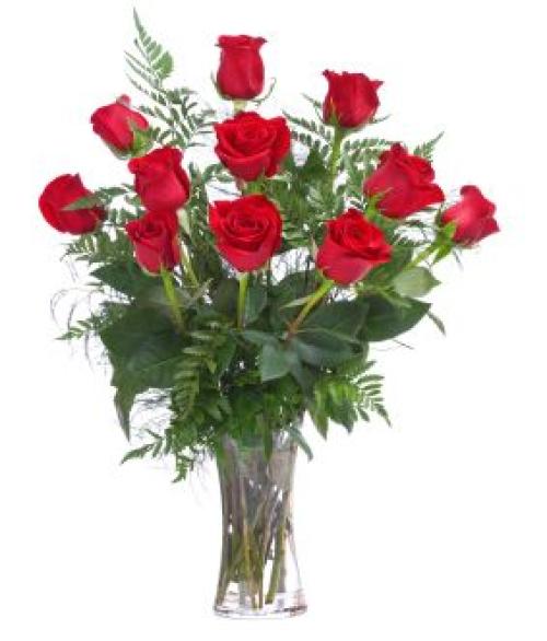 Red Roses Vased