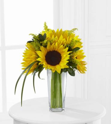 Sunshine Sunflower Daydream