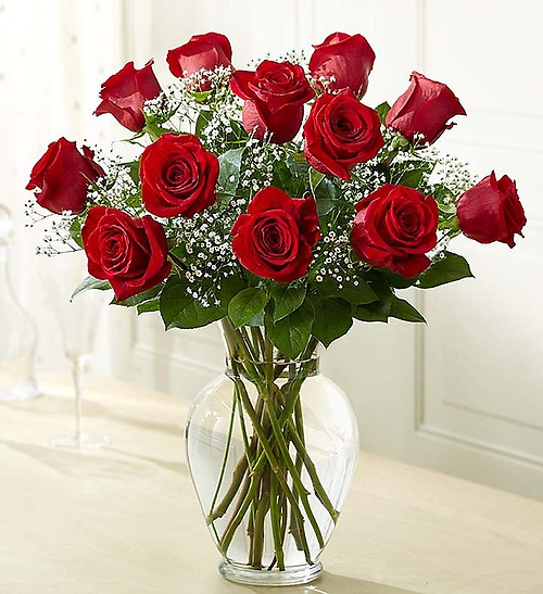 Red Rose Elegance Premium Long Stem Red Roses