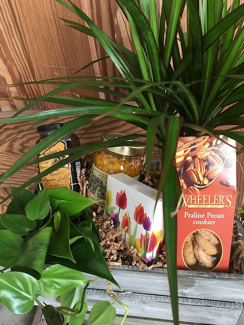 Basket of chocolates and plants