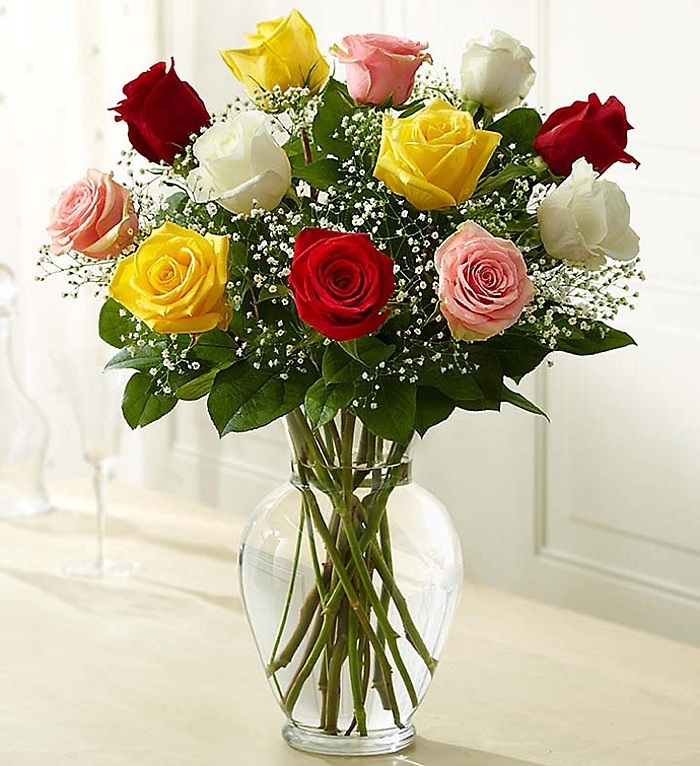 Rose Elegance Assorted Premium Long Stem Assorted Roses