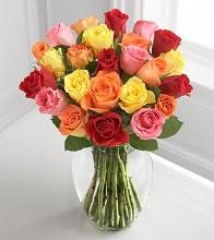 Colorful mixed roses