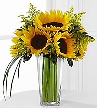 Sunshine Daydream Sunflower Bouquet