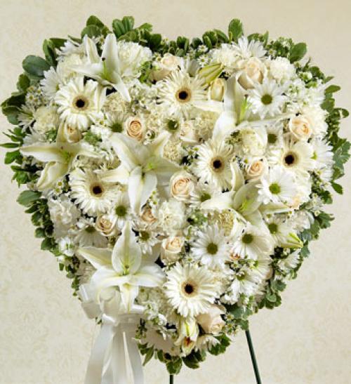 All White flowers Heart